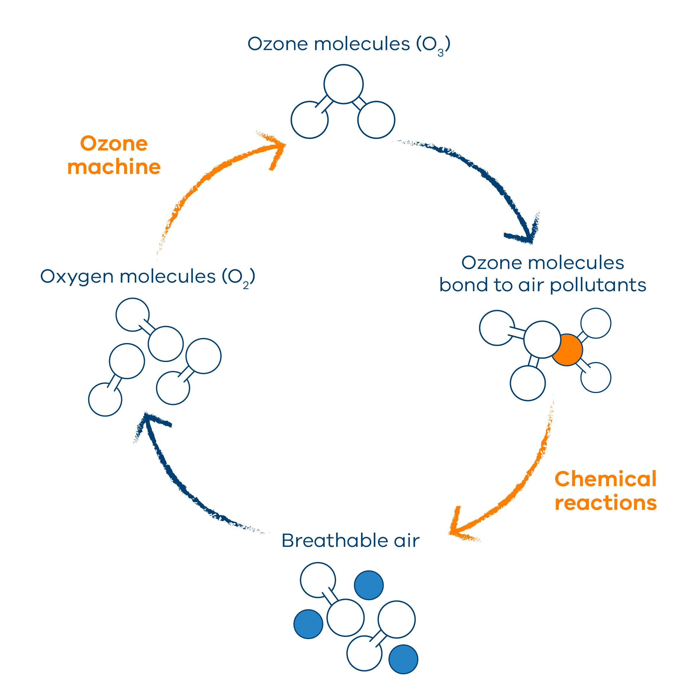 Odour cycle molecules